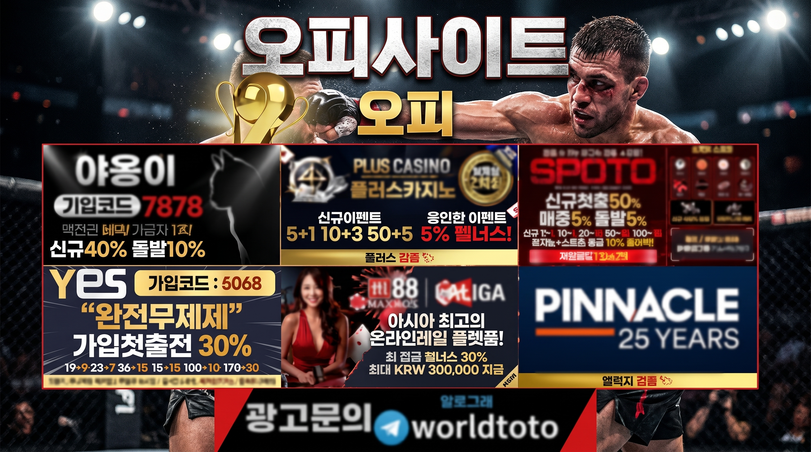 lingualci 콘텐츠 기준으로 op사이트 순위, 오피가이드, 오피사이트, 오피타임, 오피, op가이드, 오피마트 기준으로 활용 팁을 정리한 가이드 이미지
